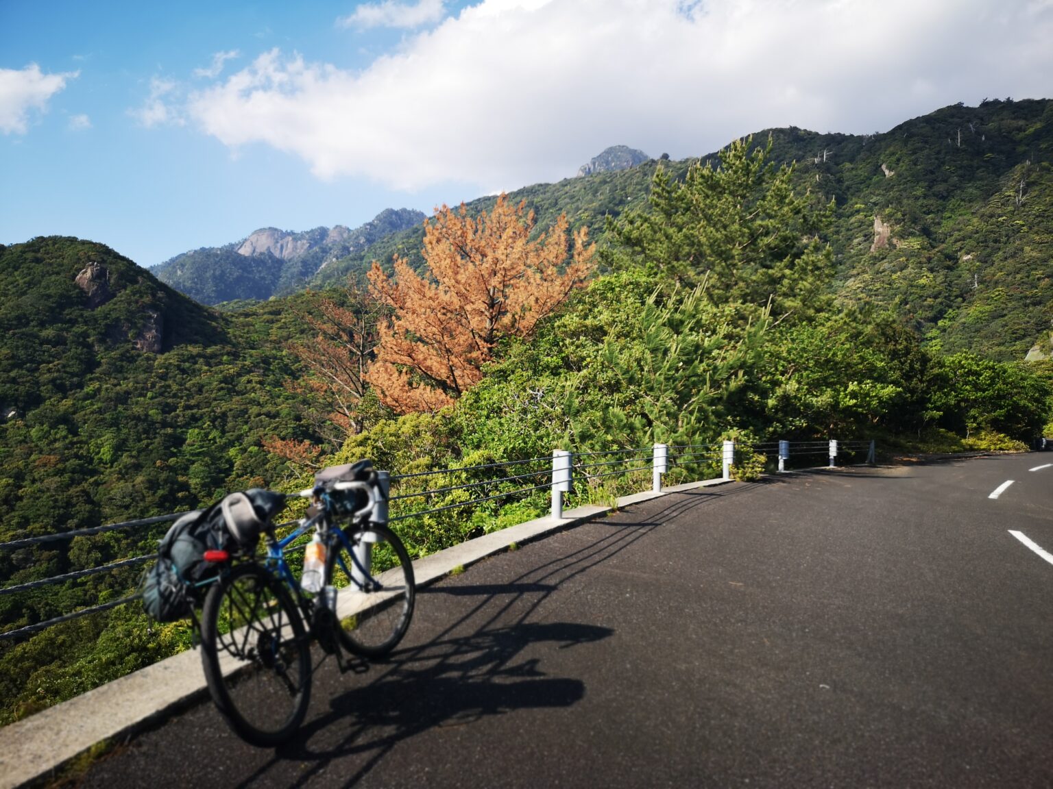 九州 一周 自転車